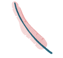 fcm-feminist